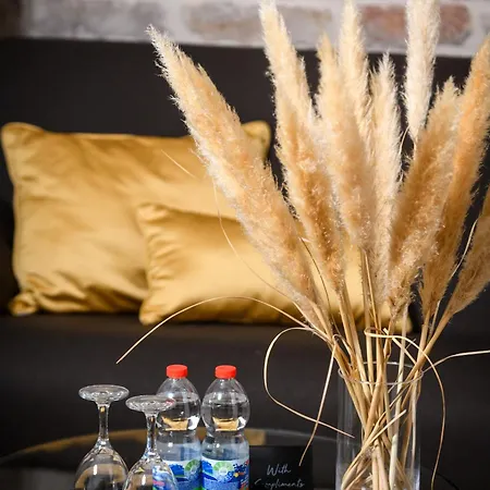 招待所 Fenice Palace 4*